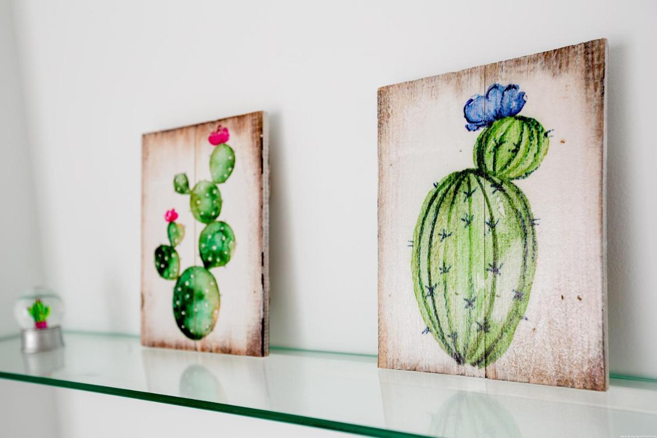 Cactus Apartment سان ميغيل ذي أبونا المظهر الخارجي الصورة