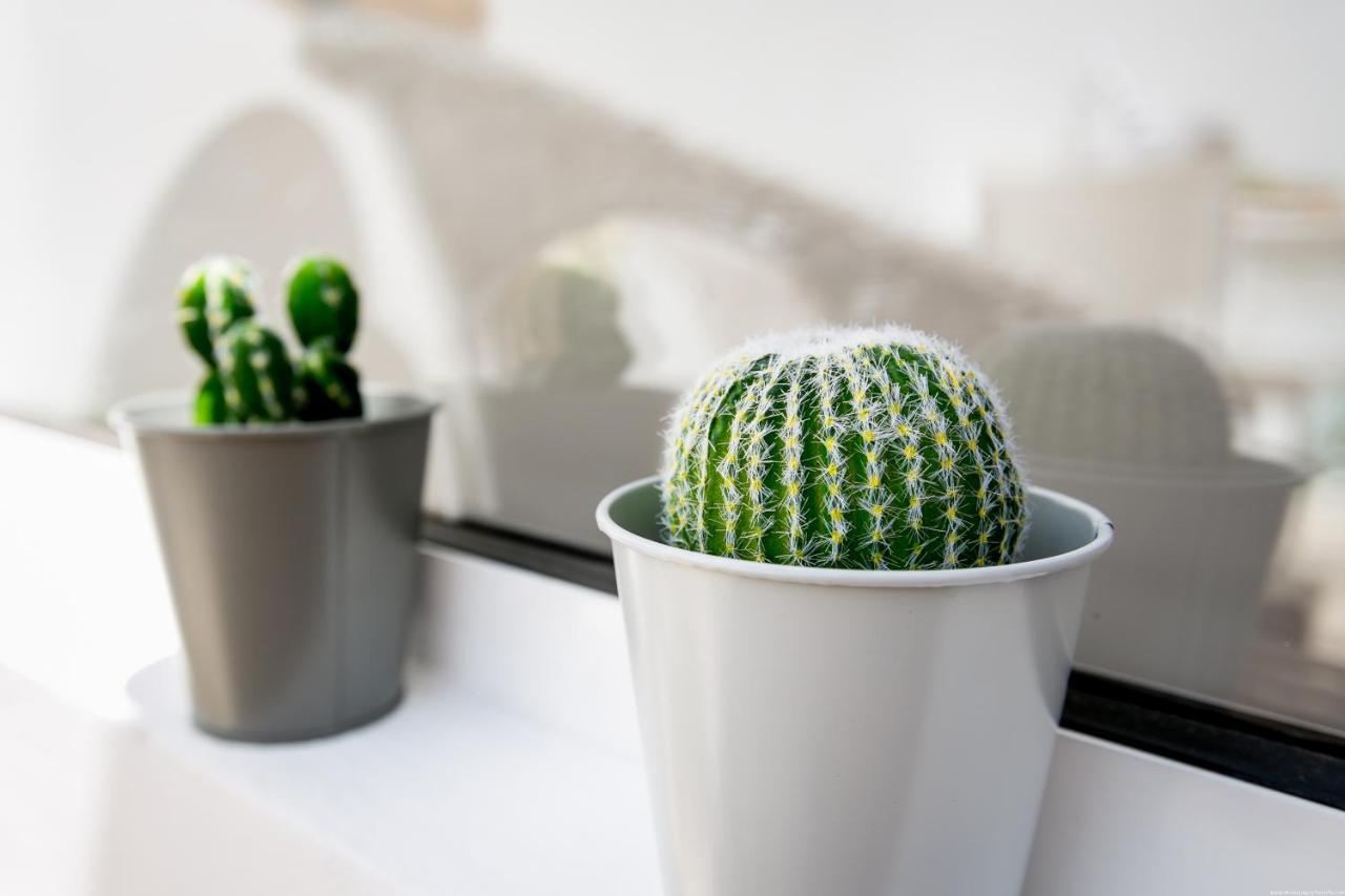 Cactus Apartment سان ميغيل ذي أبونا المظهر الخارجي الصورة