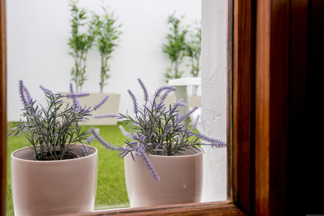 Cactus Apartment سان ميغيل ذي أبونا المظهر الخارجي الصورة