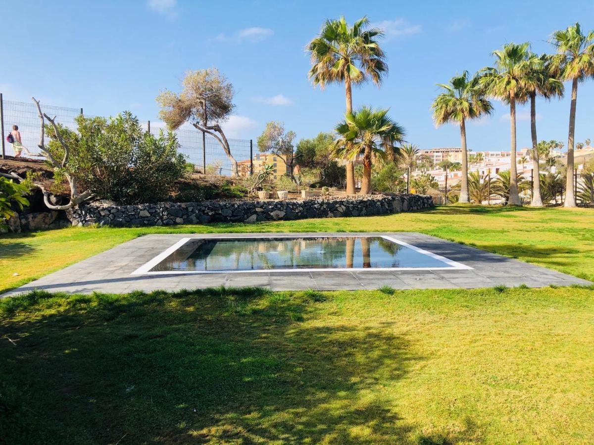 Cactus Apartment سان ميغيل ذي أبونا المظهر الخارجي الصورة